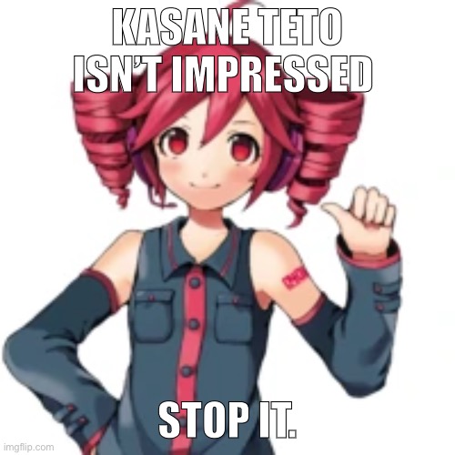 Stop. | KASANE TETO ISN’T IMPRESSED; STOP IT. | image tagged in vocaloid | made w/ Imgflip meme maker
