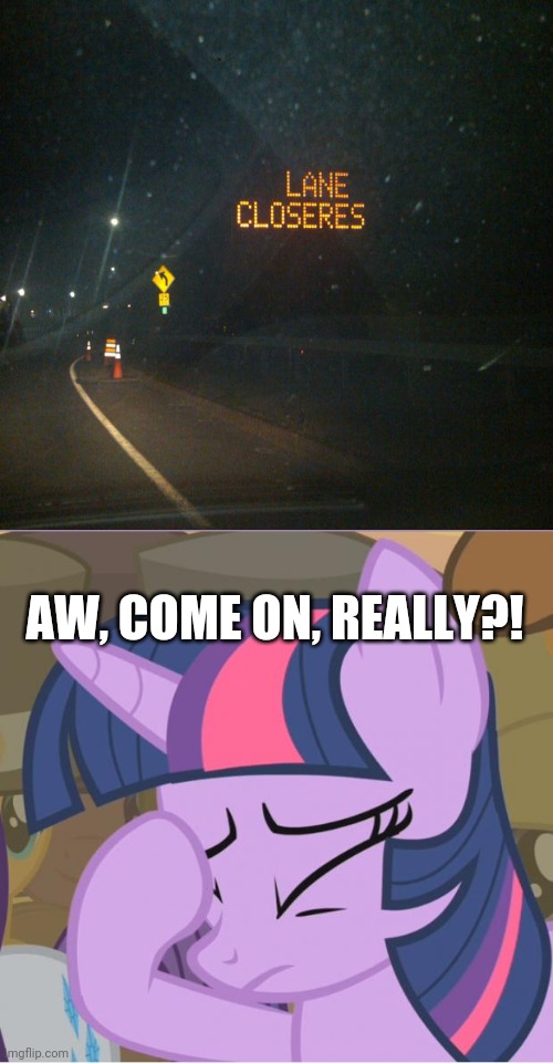 What?! This is not possible!! | AW, COME ON, REALLY?! | image tagged in mlp twilight sparkle facehoof,you had one job,misspelled,funny,task failed successfully,memes | made w/ Imgflip meme maker