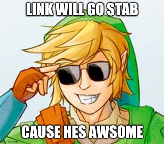 Troll Link | LINK WILL GO STAB CAUSE HES AWSOME | image tagged in troll link | made w/ Imgflip meme maker
