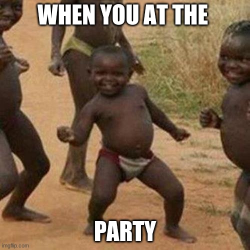 party | WHEN YOU AT THE; PARTY | image tagged in memes,third world success kid | made w/ Imgflip meme maker