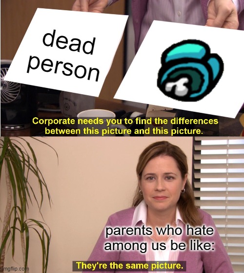 true | dead person; parents who hate among us be like: | image tagged in memes,they're the same picture | made w/ Imgflip meme maker