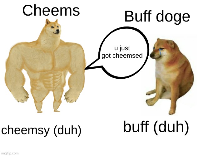 Buff Doge vs. Cheems Meme | Cheems; Buff doge; u just got cheemsed; buff (duh); cheemsy (duh) | image tagged in memes,buff doge vs cheems | made w/ Imgflip meme maker