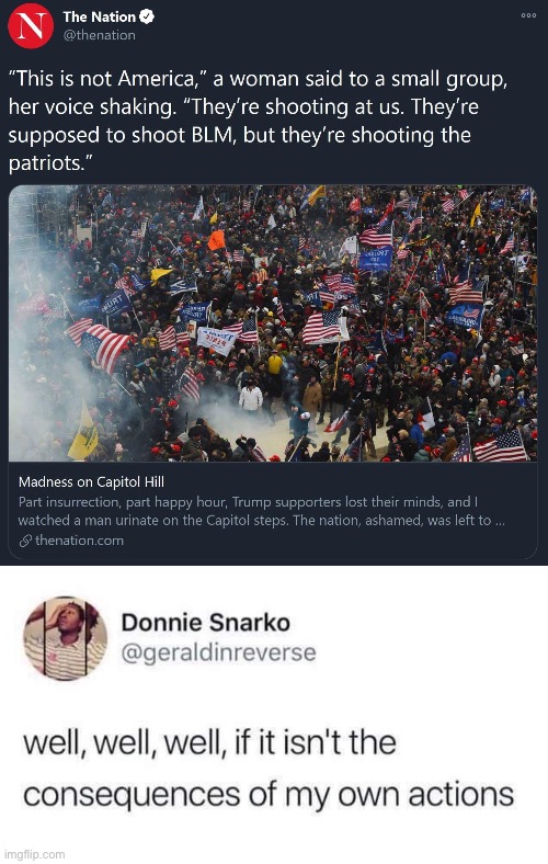 Make no mistake. They still didn’t face nearly the amount of consequences they should have. | image tagged in capitol hill,donald trump,election 2020,nazis,black lives matter | made w/ Imgflip meme maker