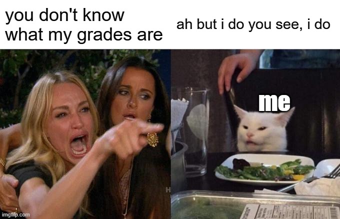 Woman Yelling At Cat Meme | you don't know what my grades are; ah but i do you see, i do; me | image tagged in memes,woman yelling at cat | made w/ Imgflip meme maker