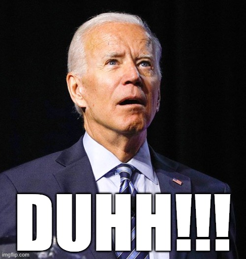 The people have spoken....and they're a bunch of idiots. | DUHH!!! | image tagged in joe biden,memes | made w/ Imgflip meme maker