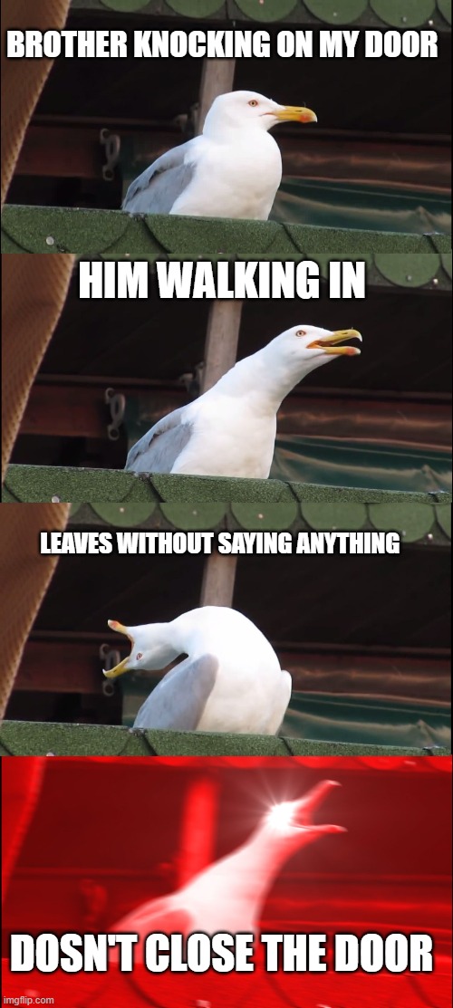 Inhaling Seagull Meme | BROTHER KNOCKING ON MY DOOR; HIM WALKING IN; LEAVES WITHOUT SAYING ANYTHING; DOSN'T CLOSE THE DOOR | image tagged in memes,inhaling seagull | made w/ Imgflip meme maker