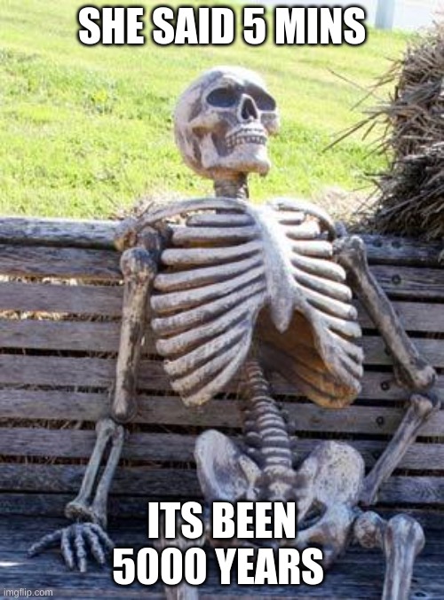 Waiting Skeleton Meme | SHE SAID 5 MINS; ITS BEEN 5000 YEARS | image tagged in memes,waiting skeleton | made w/ Imgflip meme maker