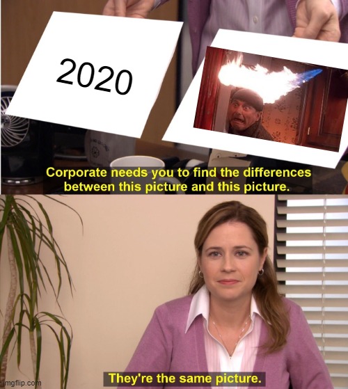 2020 | 2020 | image tagged in memes,they're the same picture | made w/ Imgflip meme maker