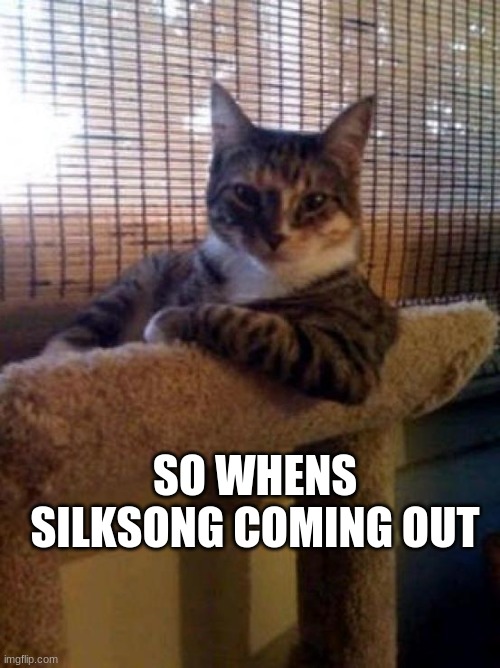 The Most Interesting Cat In The World | SO WHENS SILKSONG COMING OUT | image tagged in memes,the most interesting cat in the world | made w/ Imgflip meme maker