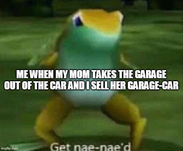 this isnt a funny meme, im just putting unfeatured old memes i made in here | ME WHEN MY MOM TAKES THE GARAGE OUT OF THE CAR AND I SELL HER GARAGE-CAR | image tagged in get nae-nae'd | made w/ Imgflip meme maker