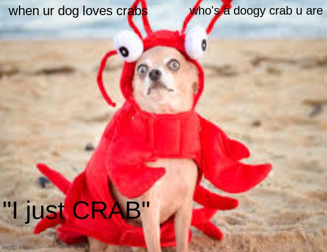 crabs and dogs | when ur dog loves crabs; who's a doogy crab u are; "I just CRAB" | image tagged in dogs,funny,crabs | made w/ Imgflip meme maker
