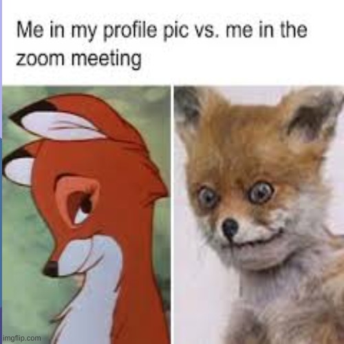 me irl | image tagged in memes,why are you reading this,stop reading the tags | made w/ Imgflip meme maker