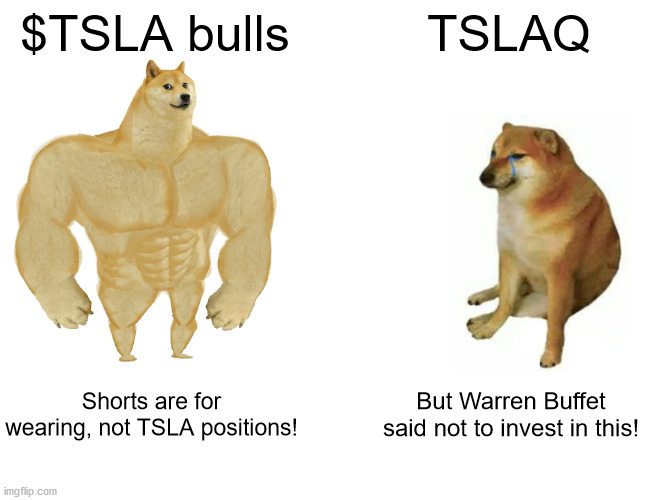 I AM THE TESLA BULL!  (Stealth Wealth Shout-out) | $TSLA bulls; TSLAQ; Shorts are for wearing, not TSLA positions! But Warren Buffet said not to invest in this! | image tagged in memes,buff doge vs cheems,tesla truck,invest | made w/ Imgflip meme maker