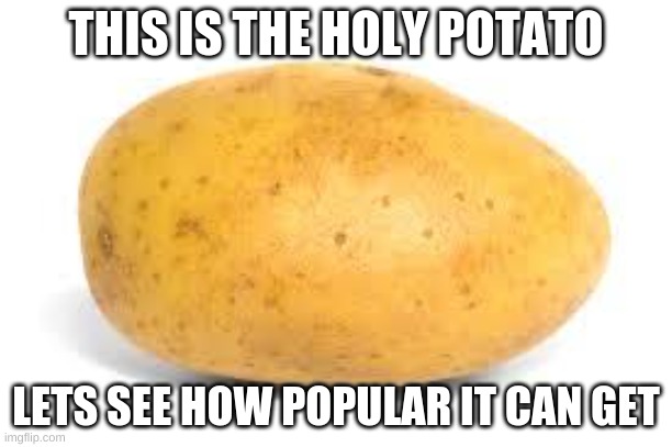 If you like this meme, you might like my other ones too: https://imgflip.com/all/user-images/Kingpancake | THIS IS THE HOLY POTATO; LETS SEE HOW POPULAR IT CAN GET | image tagged in potato | made w/ Imgflip meme maker