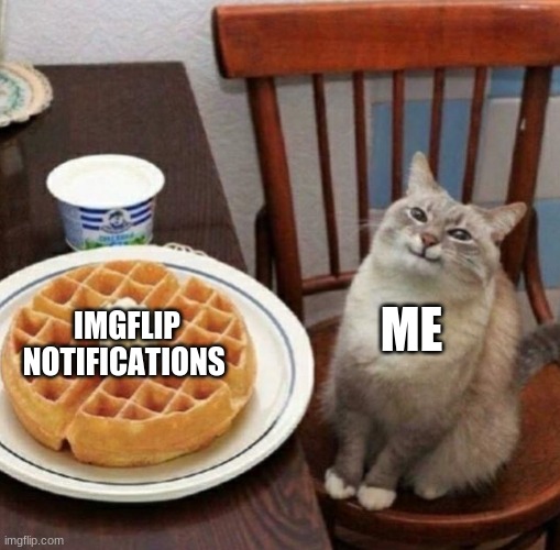 they make me happy, don't question it | ME; IMGFLIP NOTIFICATIONS | image tagged in cat likes their waffle | made w/ Imgflip meme maker