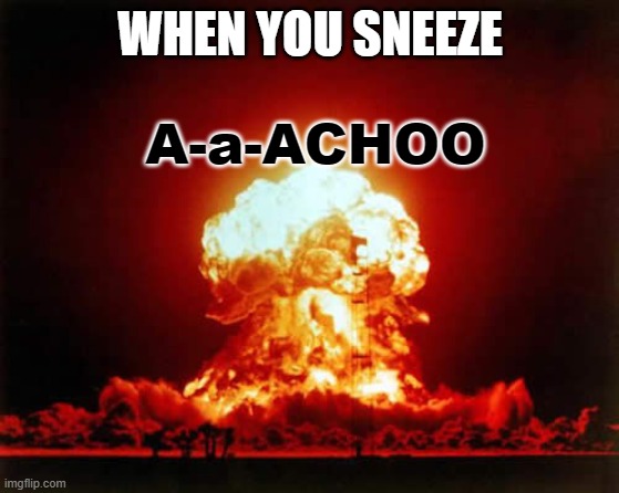 Ain't this right? | WHEN YOU SNEEZE; A-a-ACHOO | image tagged in memes,nuclear explosion | made w/ Imgflip meme maker