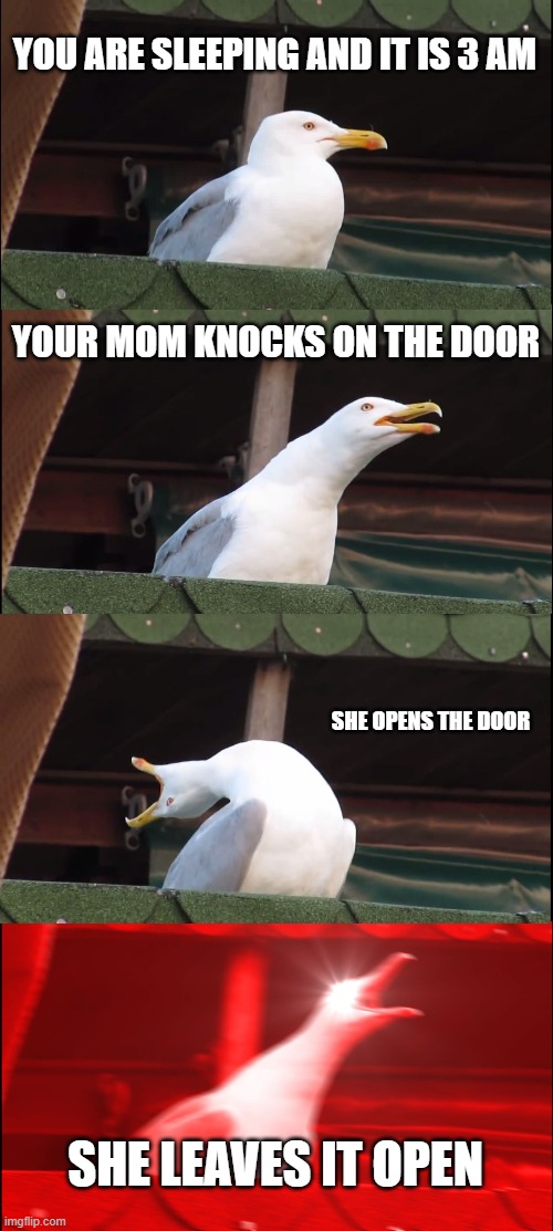 Inhaling Seagull Meme | YOU ARE SLEEPING AND IT IS 3 AM; YOUR MOM KNOCKS ON THE DOOR; SHE OPENS THE DOOR; SHE LEAVES IT OPEN | image tagged in memes,inhaling seagull | made w/ Imgflip meme maker