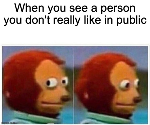 Monkey Puppet Meme | When you see a person you don't really like in public | image tagged in memes,monkey puppet | made w/ Imgflip meme maker