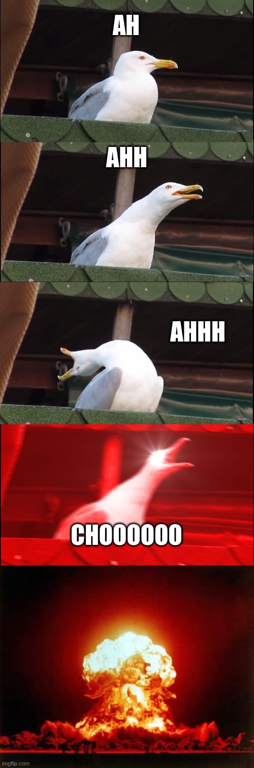 explosive sneeze |  AH; AHH; AHHH; CHOOOOOO | image tagged in memes,inhaling seagull,nuclear explosion | made w/ Imgflip meme maker