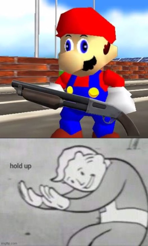 image tagged in smg4 shotgun mario,fallout hold up | made w/ Imgflip meme maker