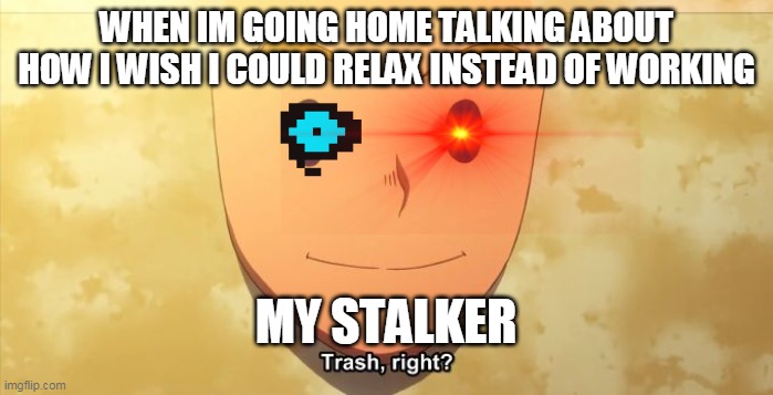 what the fu- | WHEN IM GOING HOME TALKING ABOUT HOW I WISH I COULD RELAX INSTEAD OF WORKING; MY STALKER | image tagged in trash right | made w/ Imgflip meme maker