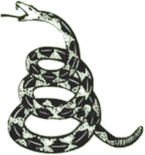 Don't Tread on Me Snake Tattoo Blank Meme Template