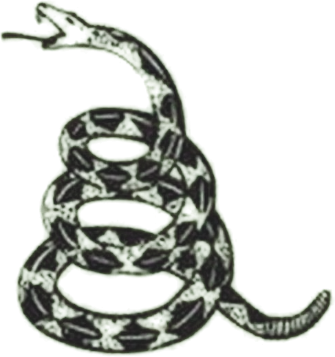 High Quality Don't Tread on Me Snake Tattoo Blank Meme Template