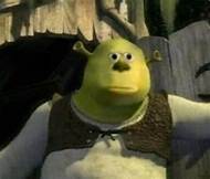 Shrek wut Blank Meme Template