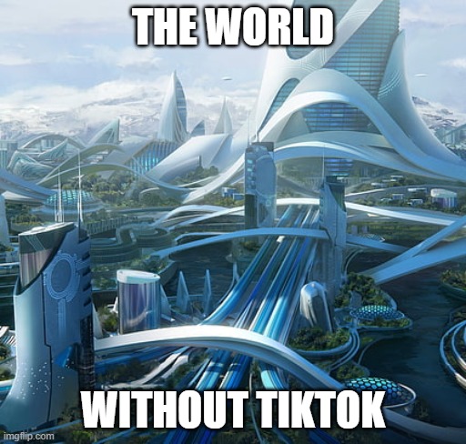 no tiktok | THE WORLD; WITHOUT TIKTOK | image tagged in the world if,memes | made w/ Imgflip meme maker