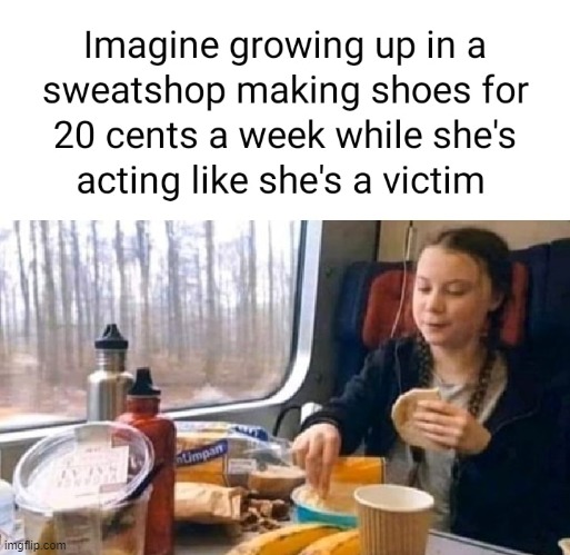 i dont really like greta | image tagged in greta thunberg | made w/ Imgflip meme maker