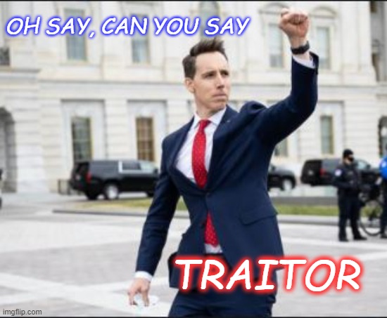 Can you say traitor? | OH SAY, CAN YOU SAY; TRAITOR | image tagged in hawley | made w/ Imgflip meme maker