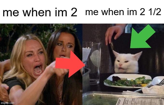 rip 2 year old | me when im 2; me when im 2 1/2 | image tagged in memes,woman yelling at cat | made w/ Imgflip meme maker