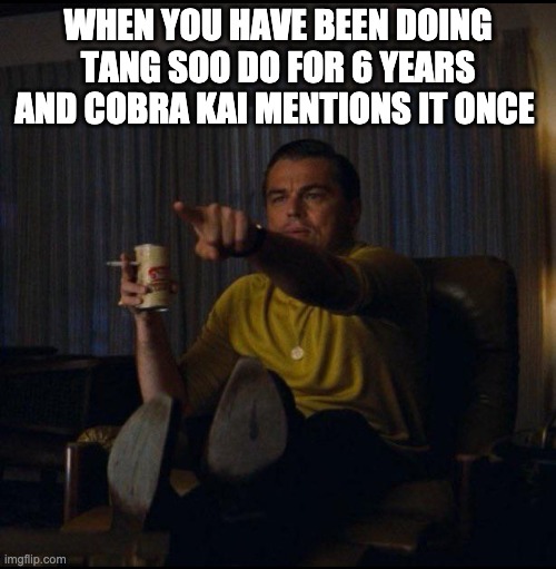 Leonardo DiCaprio Pointing | WHEN YOU HAVE BEEN DOING TANG SOO DO FOR 6 YEARS AND COBRA KAI MENTIONS IT ONCE | image tagged in leonardo dicaprio pointing,karate kid | made w/ Imgflip meme maker
