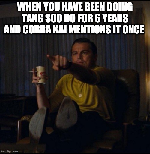 Leonardo DiCaprio Pointing | WHEN YOU HAVE BEEN DOING TANG SOO DO FOR 6 YEARS AND COBRA KAI MENTIONS IT ONCE | image tagged in leonardo dicaprio pointing | made w/ Imgflip meme maker