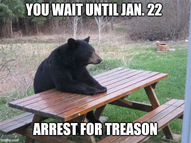 Patient Bear | YOU WAIT UNTIL JAN. 22 ARREST FOR TREASON | image tagged in patient bear | made w/ Imgflip meme maker