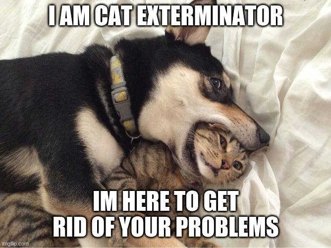 Dog VS Cat | I AM CAT EXTERMINATOR; IM HERE TO GET RID OF YOUR PROBLEMS | image tagged in dog vs cat | made w/ Imgflip meme maker