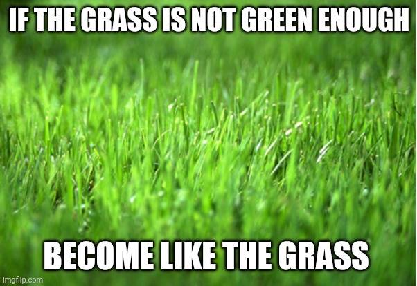 grass is greener | IF THE GRASS IS NOT GREEN ENOUGH; BECOME LIKE THE GRASS | image tagged in grass is greener | made w/ Imgflip meme maker