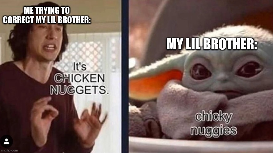 We just cant get along >_< | ME TRYING TO CORRECT MY LIL BROTHER:; MY LIL BROTHER: | image tagged in baby yoda,memes,funny,star wars | made w/ Imgflip meme maker