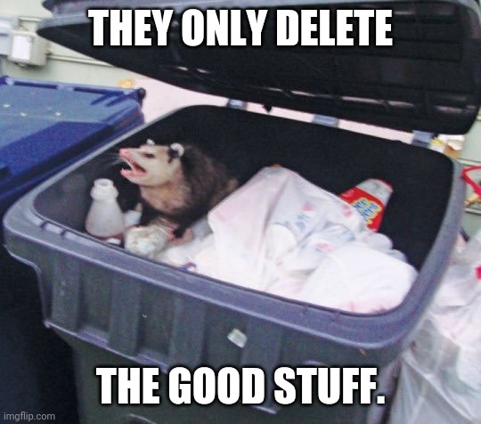 Trash Possum | THEY ONLY DELETE THE GOOD STUFF. | image tagged in trash possum | made w/ Imgflip meme maker