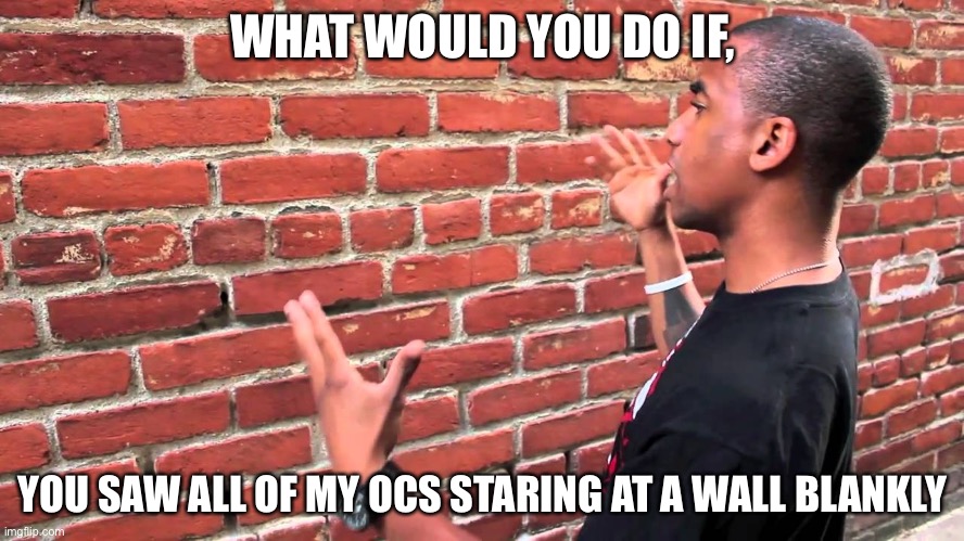 A random thought I had | WHAT WOULD YOU DO IF, YOU SAW ALL OF MY OCS STARING AT A WALL BLANKLY | image tagged in talking to wall | made w/ Imgflip meme maker