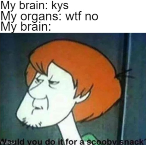 yeh | image tagged in scooby doo,shaggy meme | made w/ Imgflip meme maker