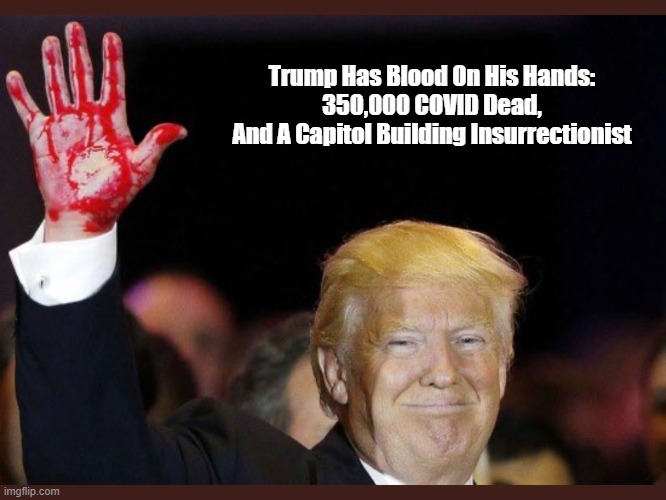 "Trump Has Blood On His Hands" | Trump Has Blood On His Hands:
350,000 COVID Dead,
And A Capitol Building Insurrectionist | image tagged in trump,mass murderer trump,negligent homicide,capitol building insurrection | made w/ Imgflip meme maker
