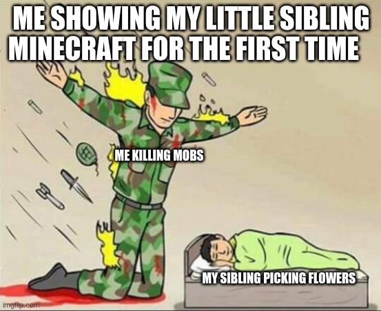 Soldier protecting sleeping child | ME SHOWING MY LITTLE SIBLING MINECRAFT FOR THE FIRST TIME; ME KILLING MOBS; MY SIBLING PICKING FLOWERS | image tagged in soldier protecting sleeping child | made w/ Imgflip meme maker