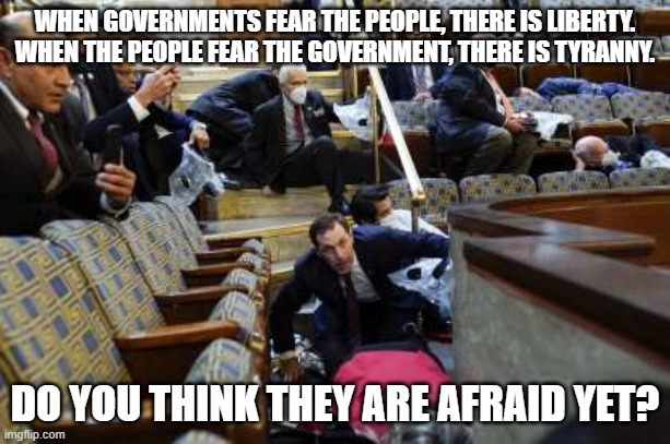 Are they afraid yet? | WHEN GOVERNMENTS FEAR THE PEOPLE, THERE IS LIBERTY. WHEN THE PEOPLE FEAR THE GOVERNMENT, THERE IS TYRANNY. DO YOU THINK THEY ARE AFRAID YET? | image tagged in congress chambers | made w/ Imgflip meme maker