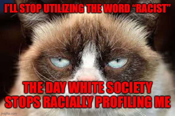 not funny | I’LL STOP UTILIZING THE WORD “RACIST”; THE DAY WHITE SOCIETY STOPS RACIALLY PROFILING ME | image tagged in not funny | made w/ Imgflip meme maker