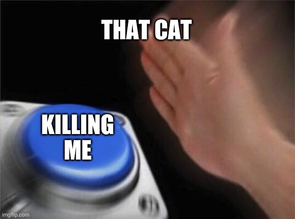 Blank Nut Button Meme | THAT CAT KILLING ME | image tagged in memes,blank nut button | made w/ Imgflip meme maker
