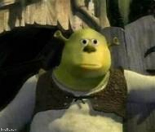 Shrek wut | image tagged in shrek wut | made w/ Imgflip meme maker