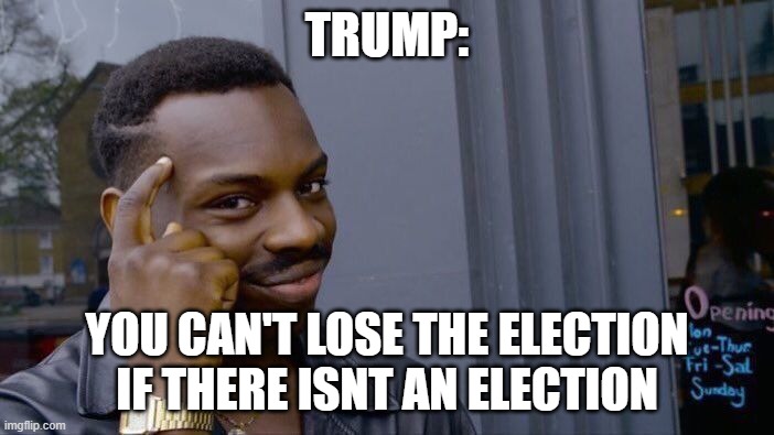 Roll Safe Think About It Meme | TRUMP:; YOU CAN'T LOSE THE ELECTION IF THERE ISNT AN ELECTION | image tagged in memes,roll safe think about it | made w/ Imgflip meme maker