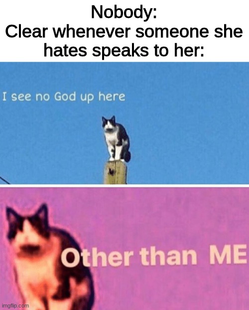 Hail pole cat | Nobody:
Clear whenever someone she hates speaks to her: | image tagged in hail pole cat | made w/ Imgflip meme maker