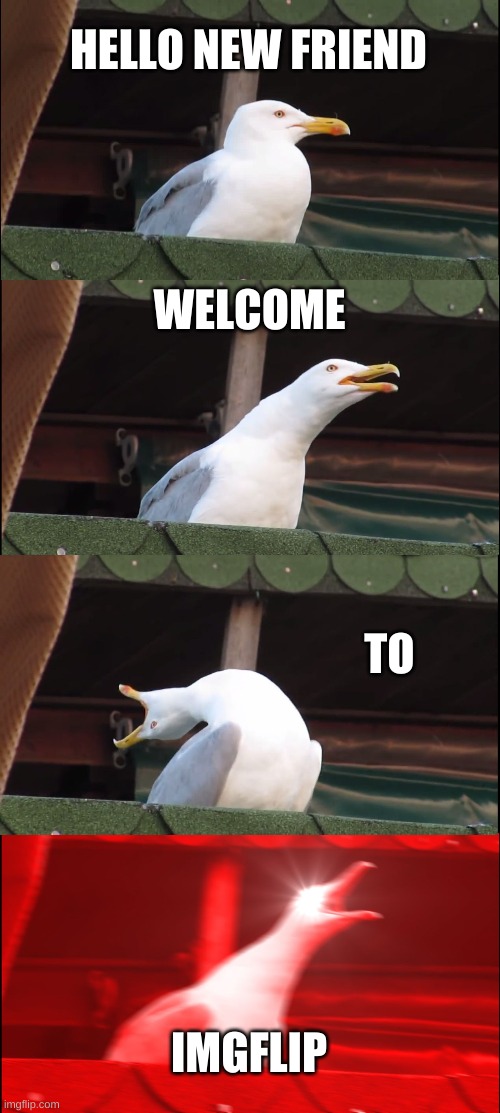 welcome new friends | HELLO NEW FRIEND; WELCOME; TO; IMGFLIP | image tagged in memes,inhaling seagull | made w/ Imgflip meme maker